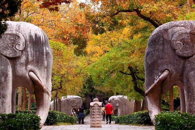 Half-Day Nanjing City Private Flexible Tour