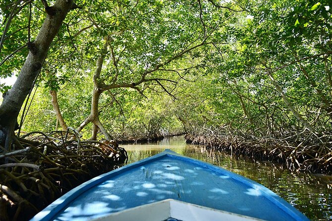 Half Day Private Roatan Cultural East Tour - Pickup Details