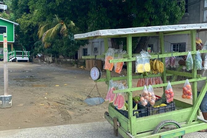 Half-Day Private Roatan Island Tour - Group Size, Price, and Guarantee