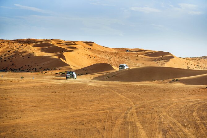Half Day Private Safari Experience Tour in Bidiyah - Included Services