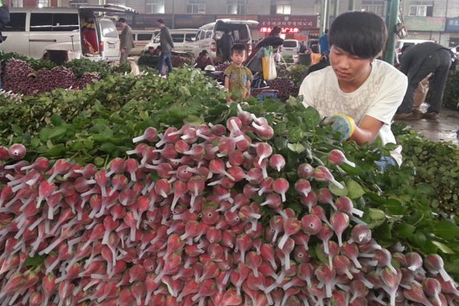Half Day Private Tour of Kunming Flower Market and Flower Pastry Cooking Class - Start Time