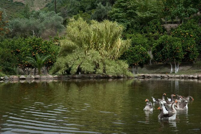 Half Day Private Tour to Botanical Garden in Chania - Admission and Fees