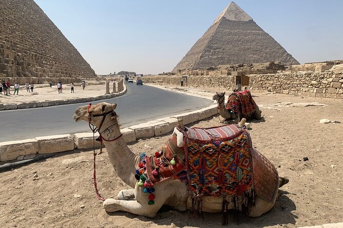 Half Day Private Tour to Giza Pyramids Sphinx - Accessibility and Facilities