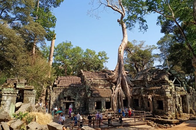 Half Day Private Tour: Tomb Raider & Banteay Kdei Temple - Frequently Asked Questions