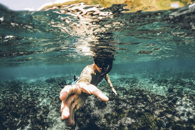 Half Day Roatan Reef Snorkeling Trip - Pricing Information