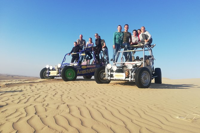 Half Day Sanddune Buggy Tour in Paracas - Meeting and Pickup Details