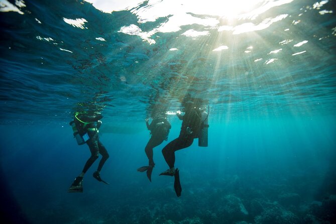 Half-Day Scuba Diving Adventure Roatan - 2 Dives - Transportation Information