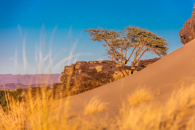 Half Day Tour Sea Dunes and Tiznit off Road With Pick up - Additional Info