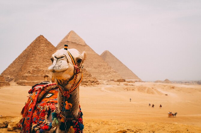 Half Day Tour To Giza Pyramids And Sphinx - Transportation Details