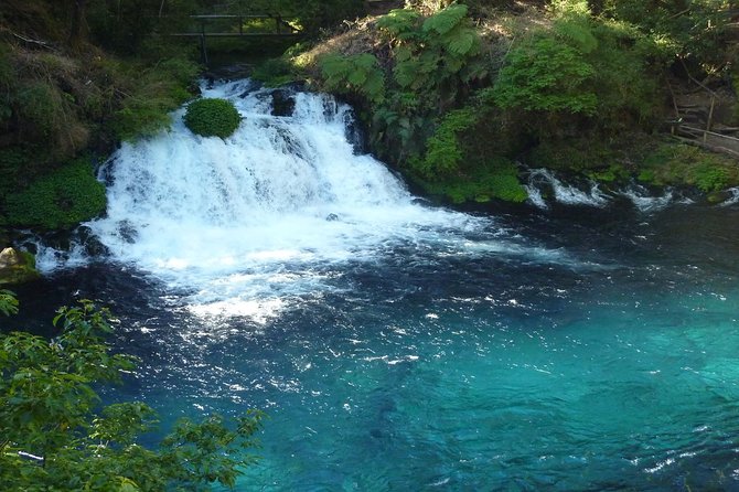 Half Day Tour to the Eyes of Caburgua From Pucon - Inclusions and Exclusions