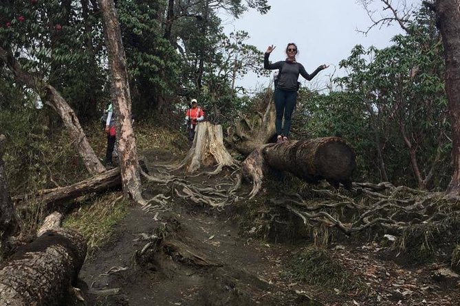 Half Day Trek to Dhampus - What to Expect During the Trek