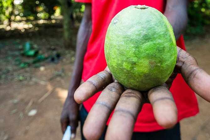 Half-Day Walking Tour in Zanzibar Citys Spice Island - Maximum Travelers Limit