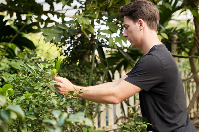 Hanoi Cooking Class in a Haven of Tranquility - Thom Culinary - Location and Directions