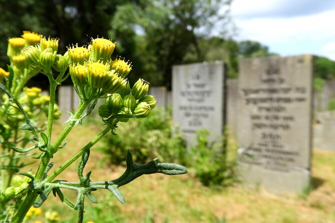 Hardships of the Past Amsterdam WW2 Walking Tour - Additional Tour Information