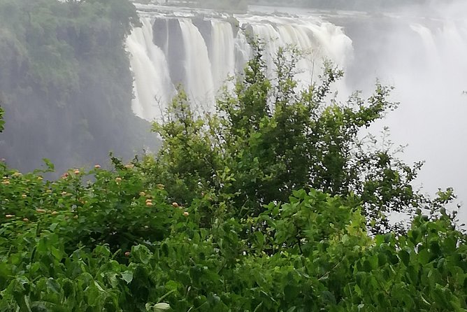 Helicopter,Falls Tour and Chobe Day Trip Combo - Tour Logistics and Information