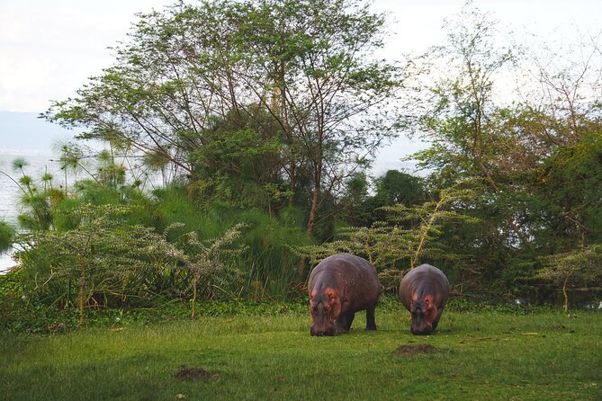 2 Best Bike Tours In Naivasha