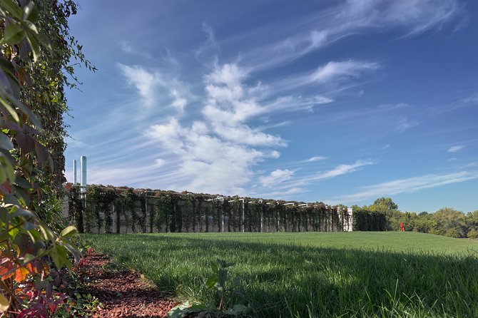 Hidden Treasures Among Art, Wine and Parmigiano Reggiano in Parma Surroundings - Tour Details and Booking Information