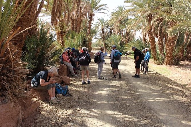  Hike and Discover the Atlas Waterfalls From Marrakech - Price