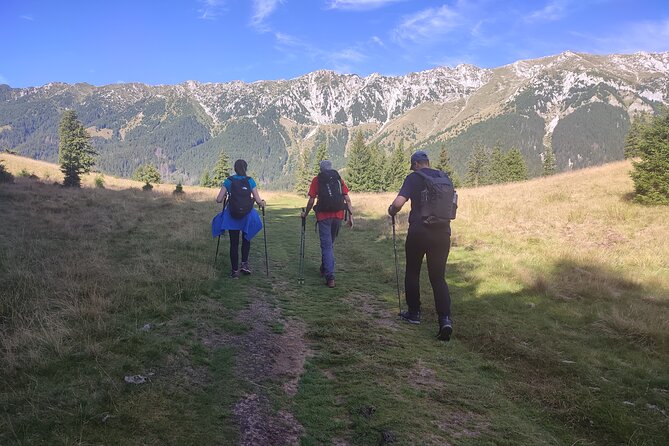 Hike the Highest Peak in Piatra Craiului Mountains (2238 M) - Tour Logistics and Pricing