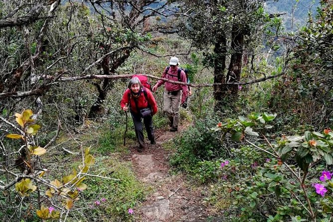 Hike to Kirigalpotta Mountain Via Horton Plains National Park - Pickup Details and End Point