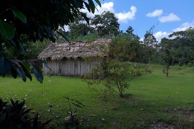 Hike to the La Fortuna Waterfall With Visit the Indigenous Reserve From San Jose - Important Meeting and Departure Details