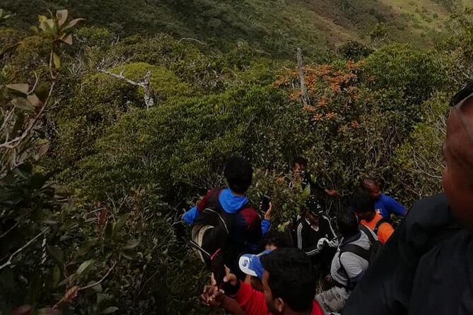 Hiking Piton De La Petite Riviere Noire Mountain Including Lunch & Transfer - Inclusions and Services Provided