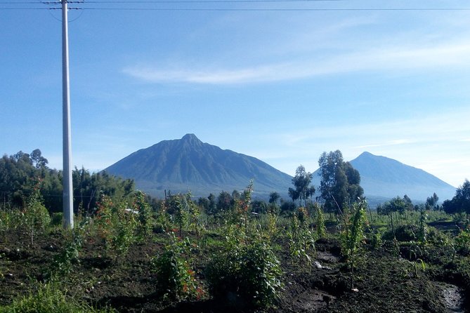 Hiking to Dian Fossey's Tomb in the Volcanoes National Park - Start Time and Operating Hours