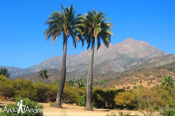 Hiking Tour in LA CAMPANA NATIONAL PARK Private Tour - Health and Safety Guidelines