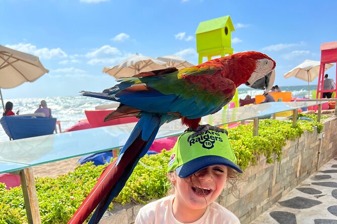 Historical Tour in Alexandria - Frequently Asked Questions