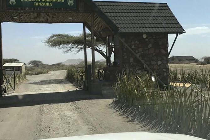 Historical Tour Tour at Olduvai Gorge - Group Size and Policies
