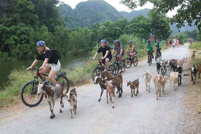 Hoa Lu - Tuyet Tinh Coc - Trang an Small Group With Boating, Biking,Climbing - Cancellation Policy