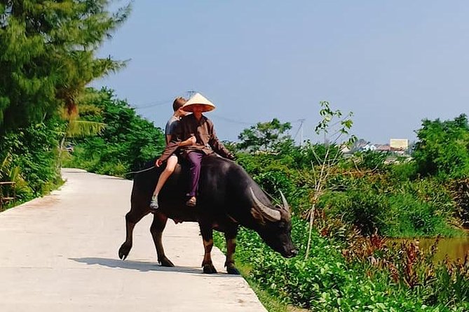 Hoi an Village Experience With 3 Villages (Escape From Noise of City ) & Lunch - The Sum Up