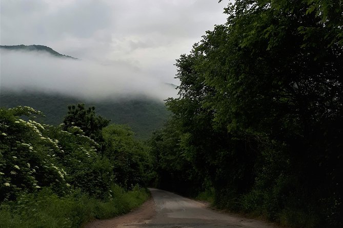 Home-Hosted Meal in the Slopes of Mount Belasica - Day Trip From Skopje - Directions and What to Expect
