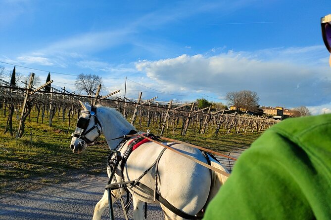 Horse Carriage Tour and Wine Tasting in Lazise - Weather and Refund Policy