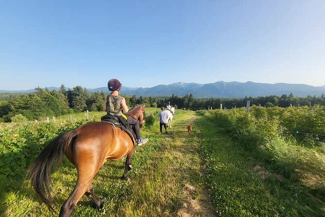 Horse Riding Experience From Borovets - What To Expect