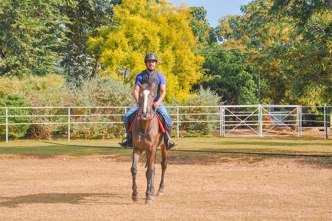 Horse Riding for Professionals From Negombo - Price and Booking