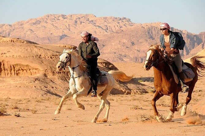 Horse Riding in Dahab - Pricing and Guarantee
