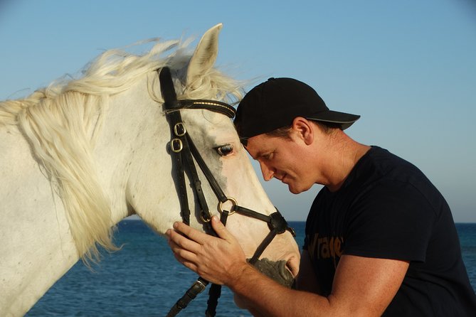 Horse Riding Two Hours at Amazing Desert With Transfer - Marsa Alam - Frequently Asked Questions