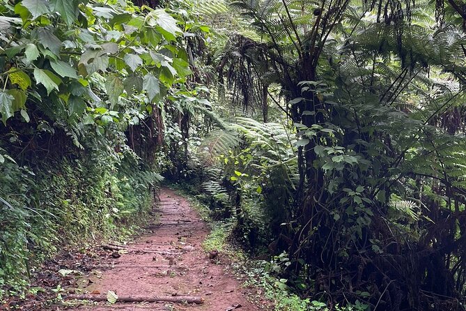 Horseback Experience at Karura Forest - Whats Included