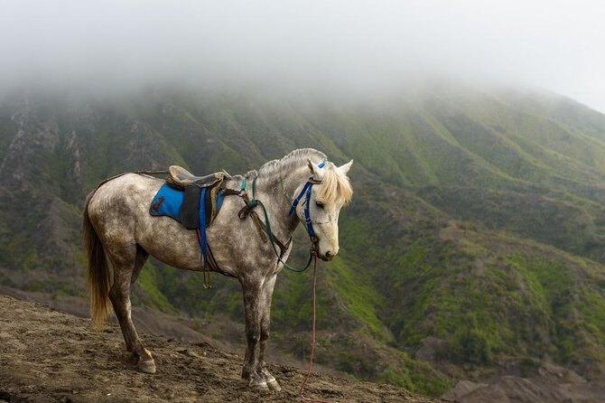 Horseback Riding at Arenal Volcano Foothills - Departure Times and Logistics