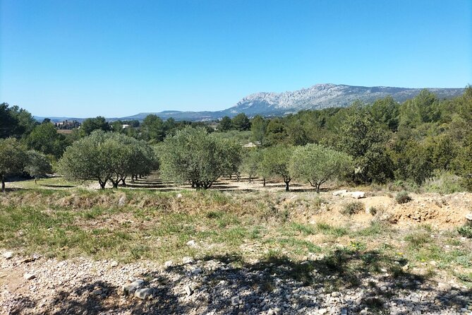 Horseback Riding in Sainte Victoire and Picnic With Wine Tasting - Picnic and Wine Tasting