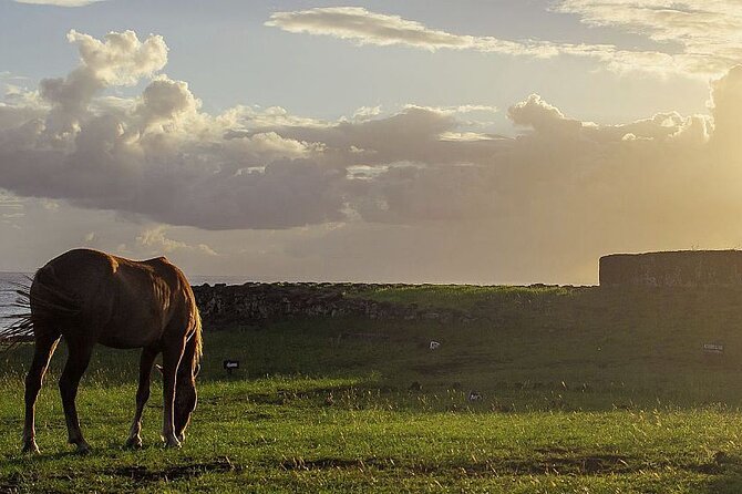 Horseback Riding on Easter Island - Cancellation Policy
