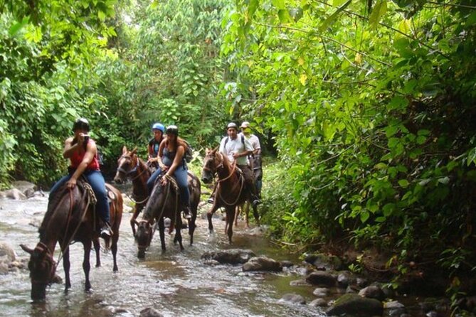 Horseback Riding to the Arenal River or the Volcano - Additional Safety Guidelines