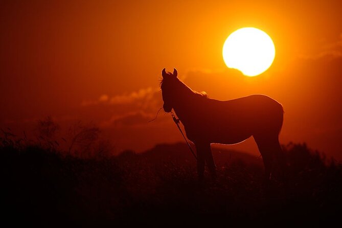 Horseback Riding Tour in Cappadocia - Directions to Meeting Point