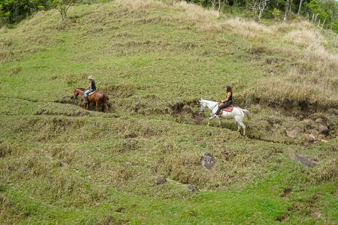 Horseback Riding Tour Plus Coffee Tour 3 in 1 (Coffee Chocolate and Sugar Cane) - Pricing Details