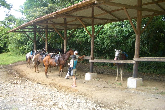Horseback to La Fortuna Waterfall From Arenal - Tour Inclusions and Exclusions
