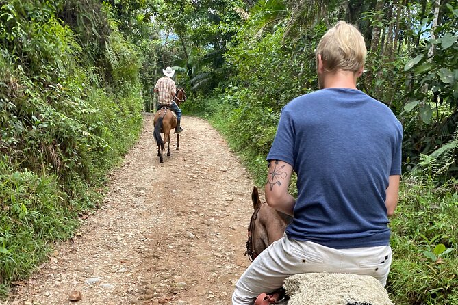 Horseback - Choosing the Right Horseback Tour