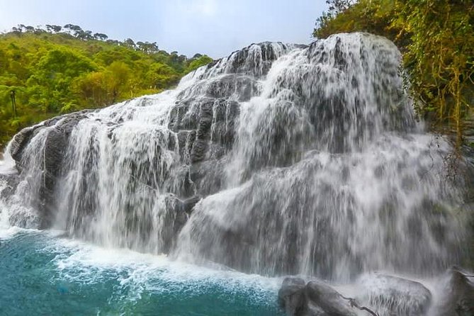 Horton Plains National Park Tour From Nuwara Eliya With Holiday Walkers Srilanka - Pricing and Booking Information