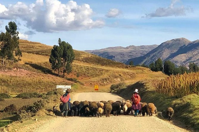 Huaypo Lake and Salineras by ATVs - Operator and Price