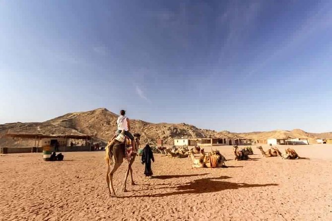 Hurghada Bedouin Desert Safari by Jeep 4×4 - Exclusions
